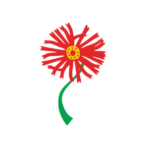 Tshwane Chess logo